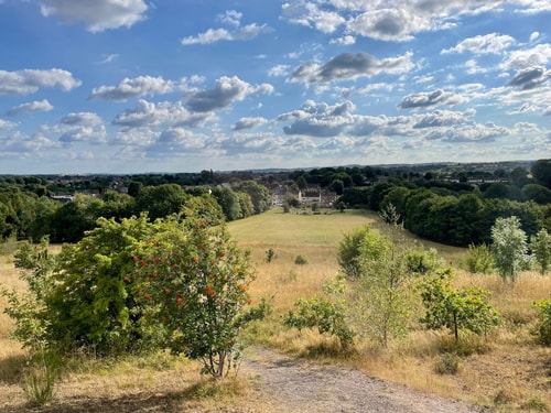 Lovely 3BD Home in the Heart of Morton 23 Hello Guest