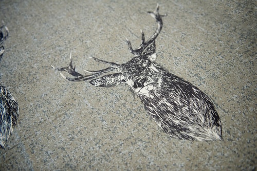 Charming 2 Bedroom Flat in the Heart of Kirriemuir 11 Hello Guest