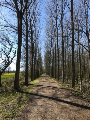 Delightful 4BD Home full of Flair Edenbridge Kent 30 Hello Guest