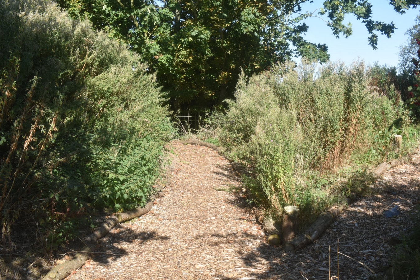 Swallow Cottage, Howdales 22 Hello Guest