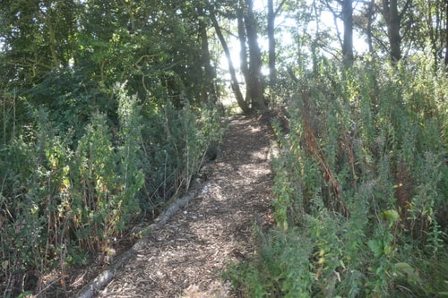 Swallow Cottage, Howdales 19 Hello Guest