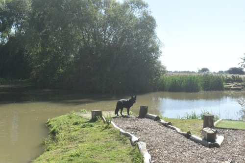 Swallow Cottage, Howdales 14 Hello Guest