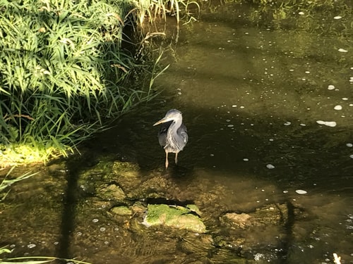 Delightful 4BD Home full of Flair Edenbridge Kent 32 Hello Guest
