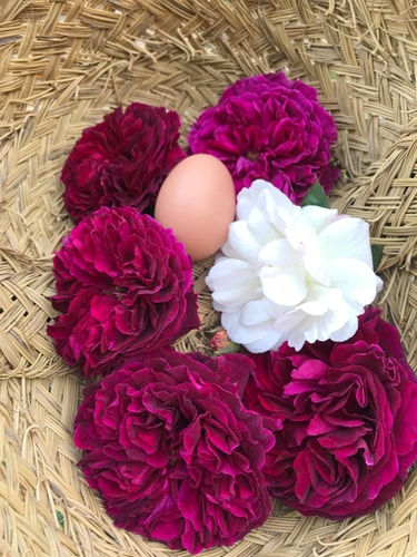 Delightful 4BD Home full of Flair Edenbridge Kent 31 Hello Guest