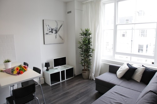 Fantastic 1BD flat in the centre 5 Hello Guest