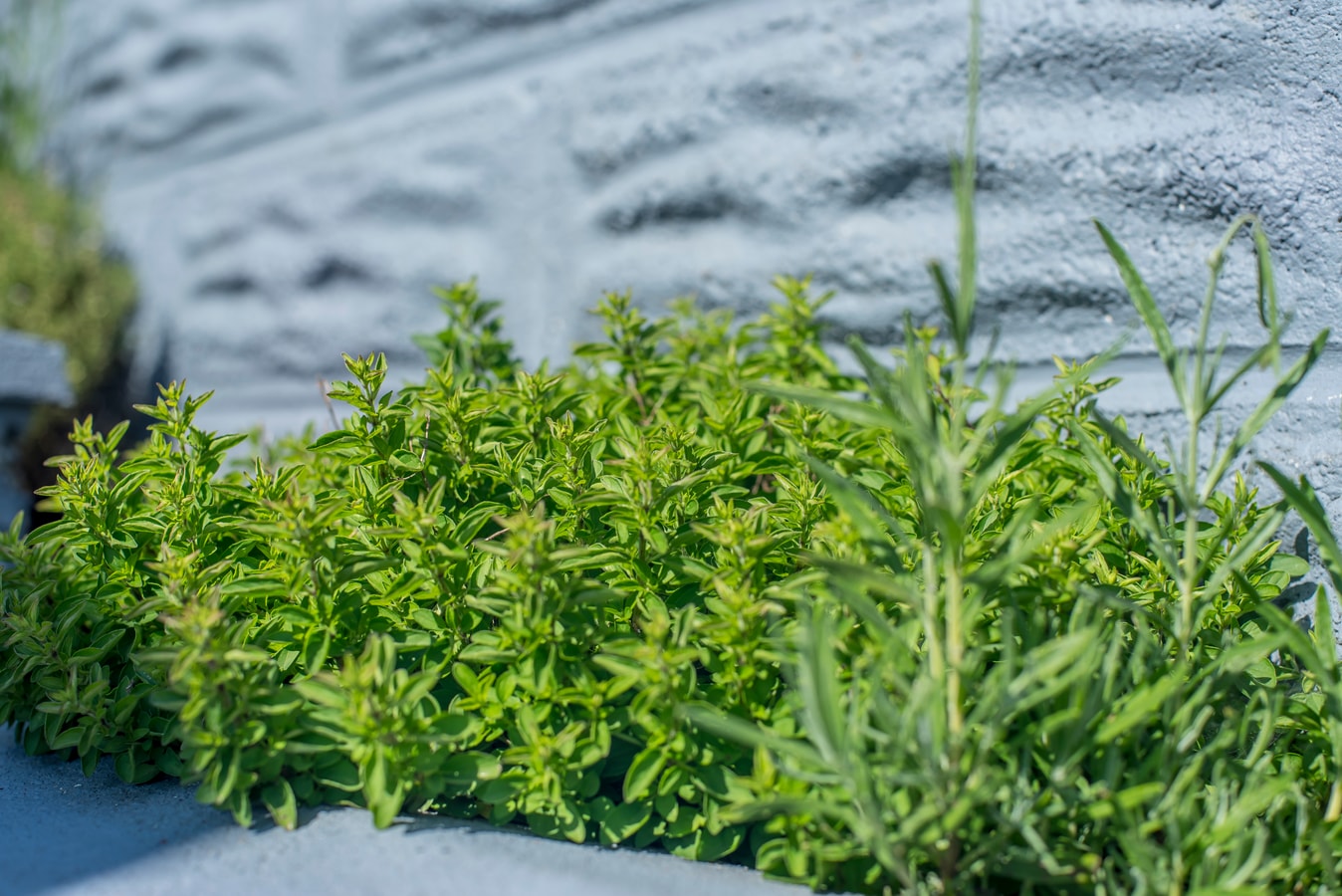 2BD Holiday Home Stunning views of the Sea & Gower 39 Hello Guest