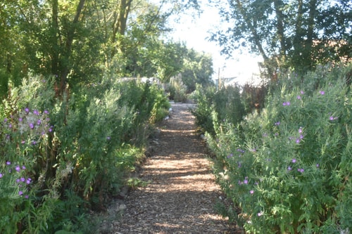 Swallow Cottage, Howdales 15 Hello Guest