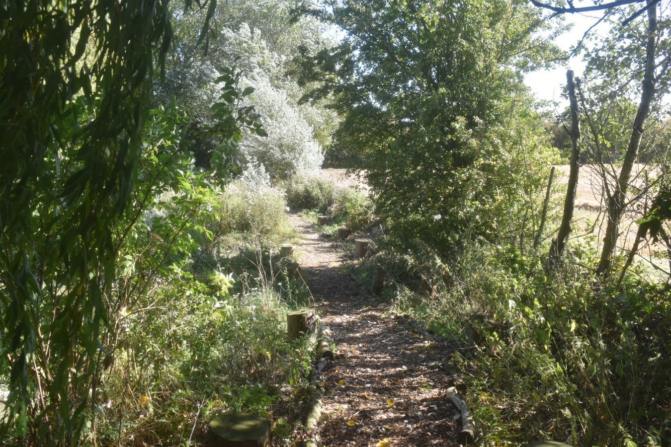 Swallow Cottage, Howdales 20 Hello Guest