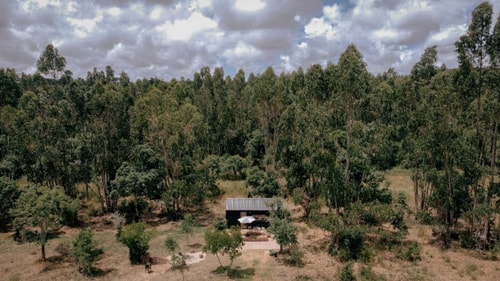 TerraCabins - Tonica