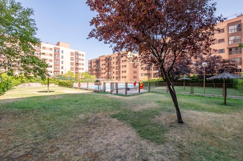 Cozy Apartment with Pool & A/C near the Airport, photo 12 of 37