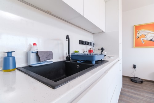 Serene Luxe Oasis Retreat on the Outskirts 32 Flat Manager Booking