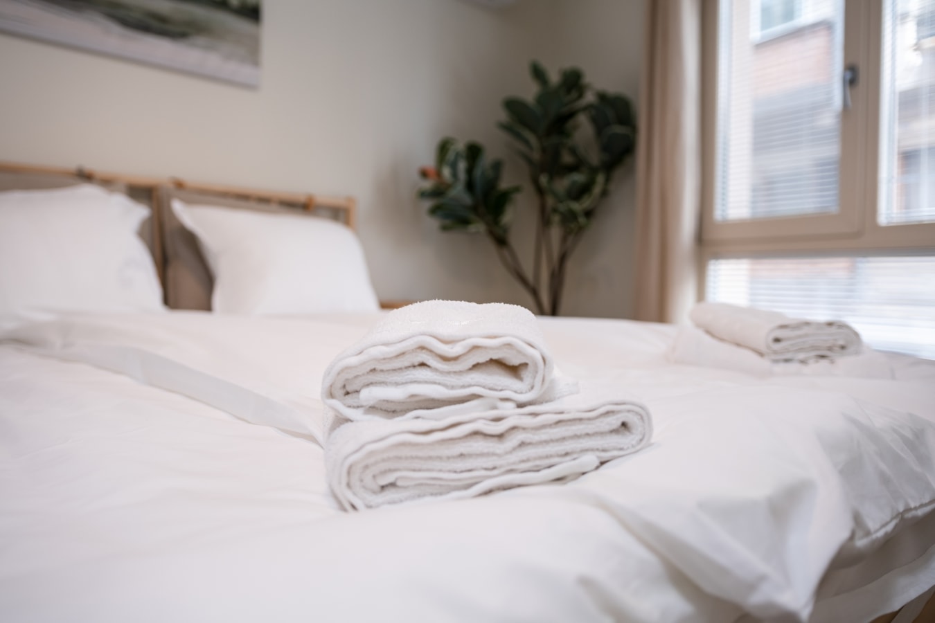 Stylish One-Bedroom Apartment 7 MT Homes Property Management