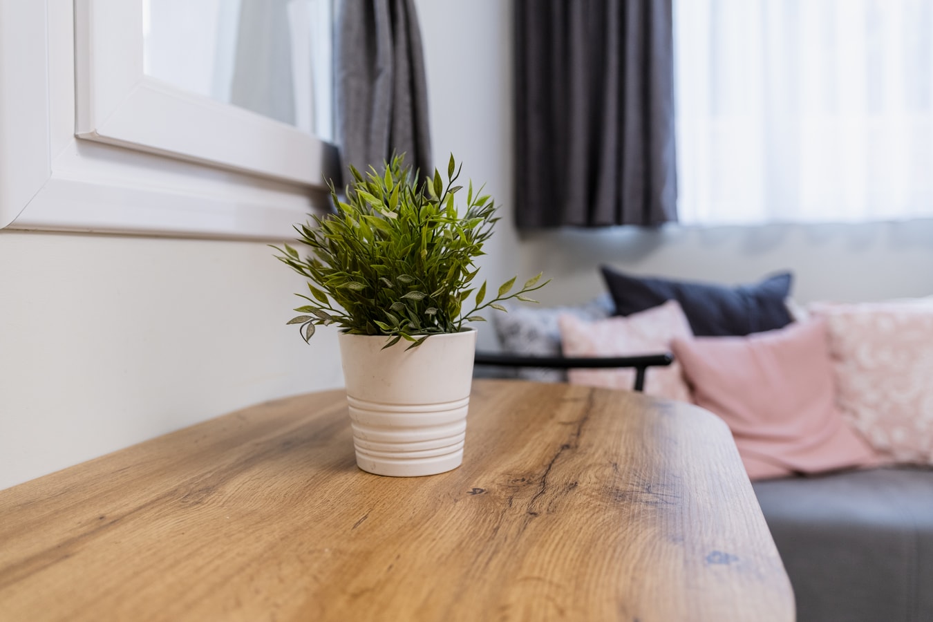 City Center Studio Apartments 1 23 MT Homes Property Management