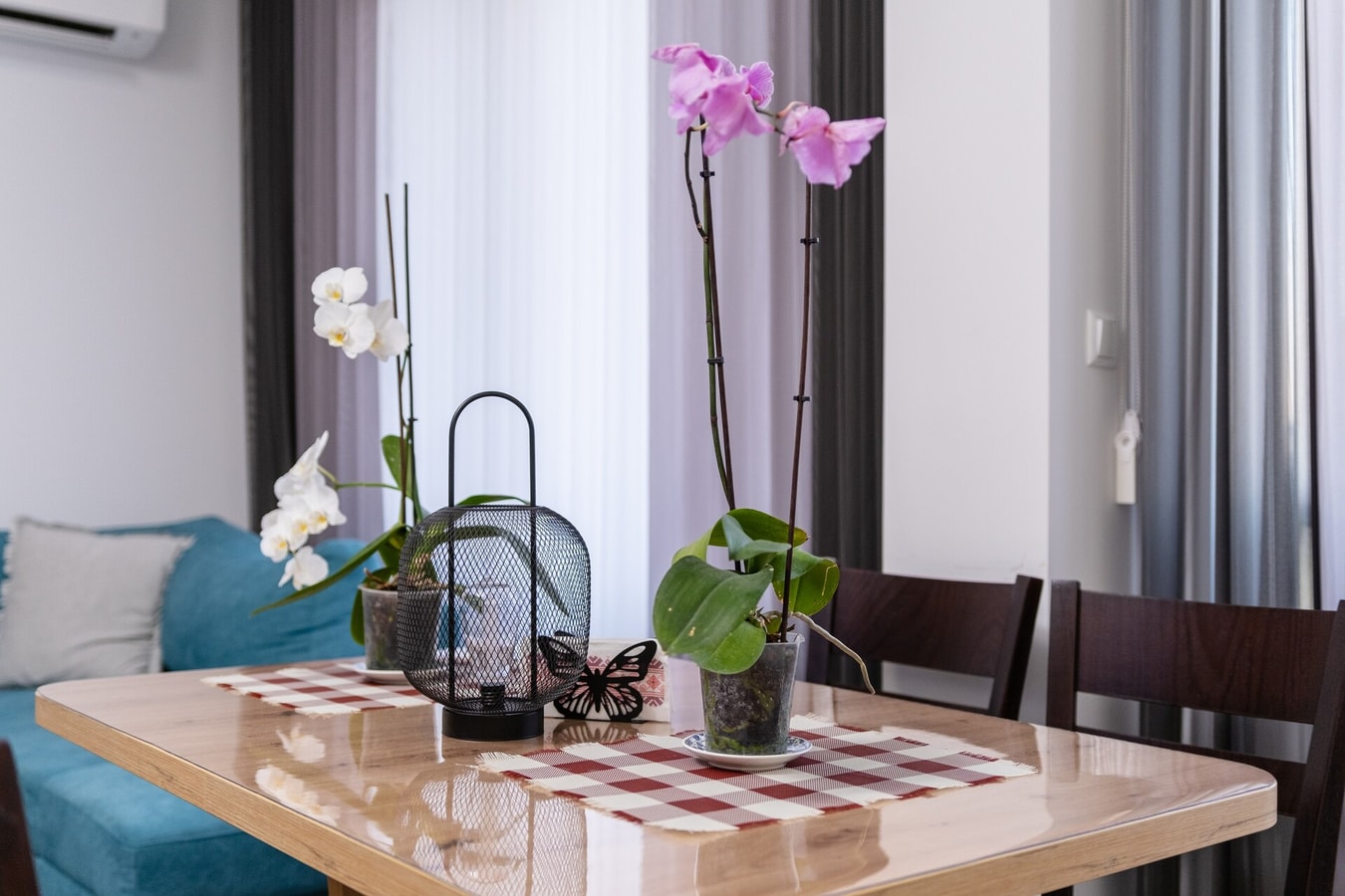 1-Bedroom apartment with Free parking 21 MT Homes Property Management