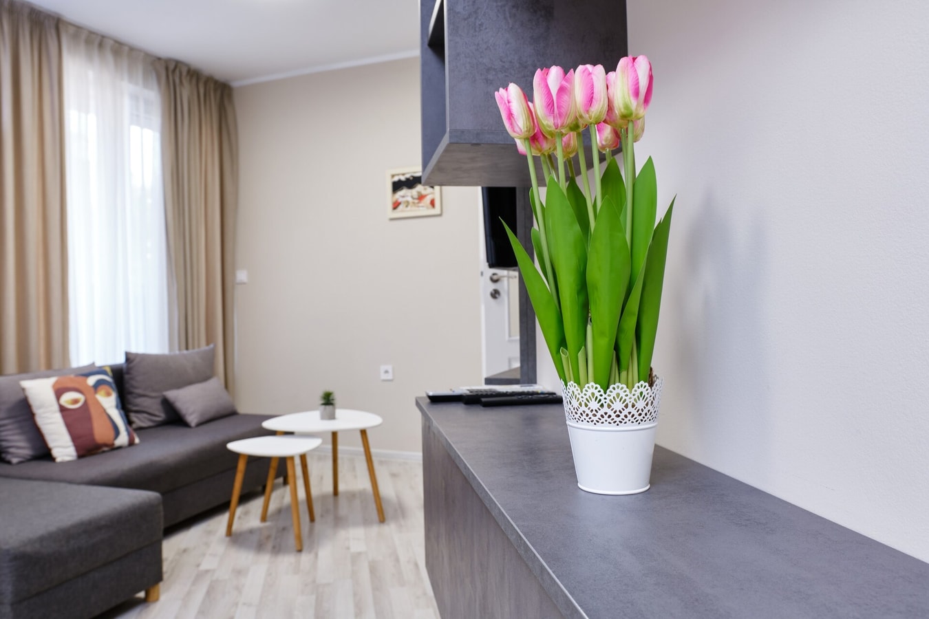 Cozy 1-bed Apartment 2 2 MT Homes Property Management