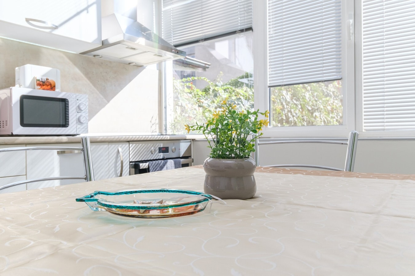 1-bedroom City Center secret gem 18 MT Homes Property Management