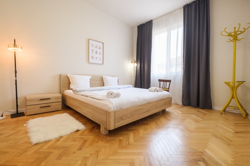Bright 1-bedroom in the Heart of the City 13 MT Homes Property Management
