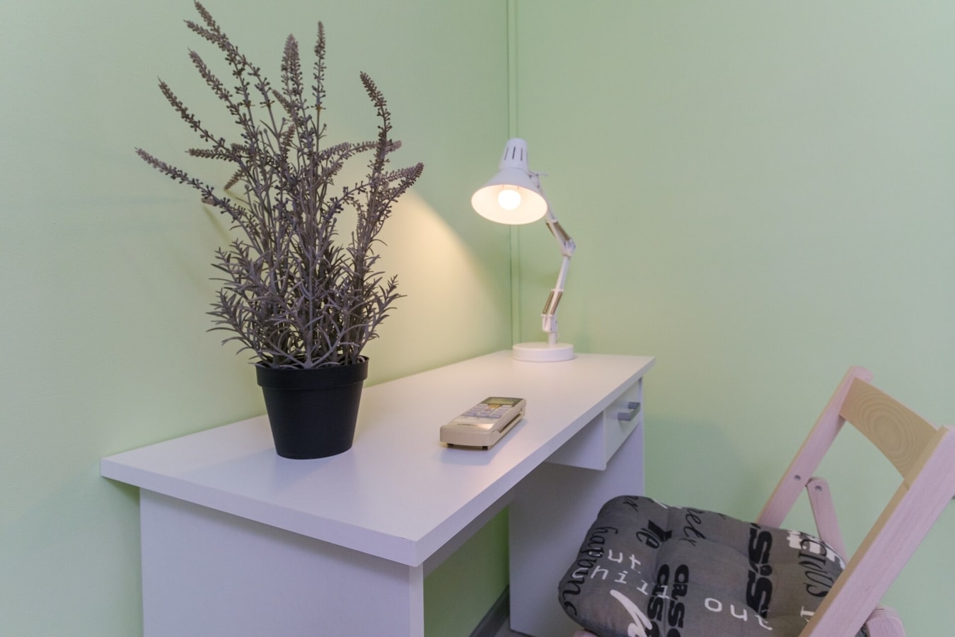 1-bedroom City Center secret gem 5 MT Homes Property Management
