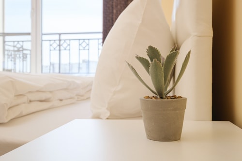Modern 1-bed Apartment 15 MT Homes Property Management